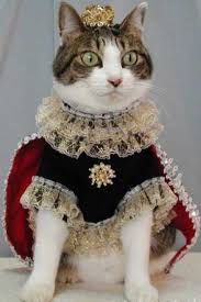 cat-king.jpg